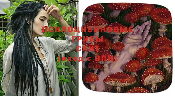 apvp Абаза