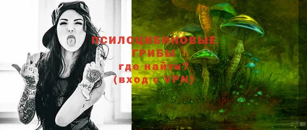 apvp Абаза