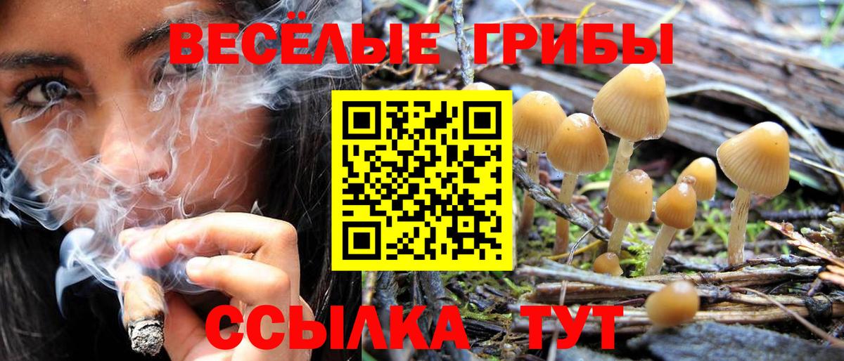 Псилоцибиновые грибы прущие грибы Керчь