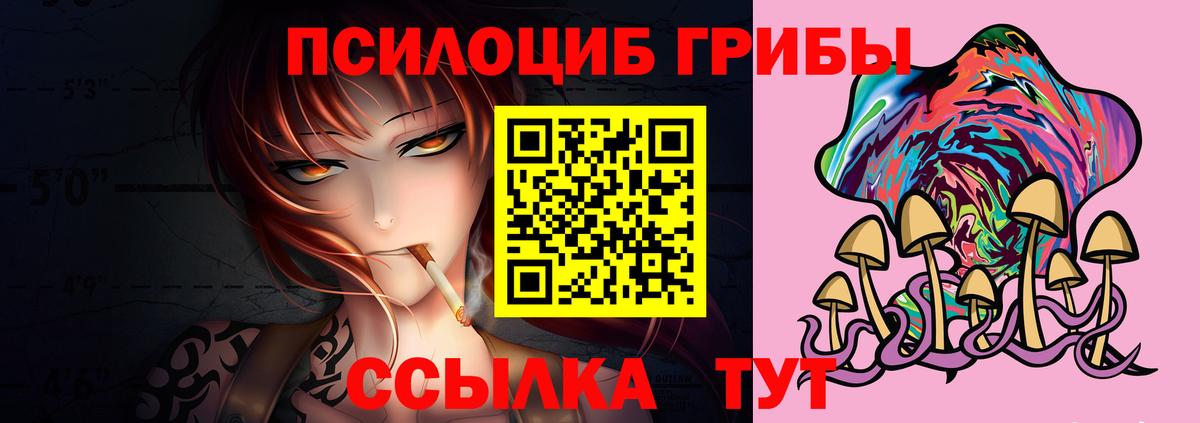 Керчь  Псилоцибиновые грибы GOLDEN TEACHER  Вход с VPN  Псилоцибиновые грибы мухоморы 